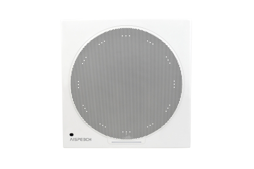 Preview: AISpeech MC10